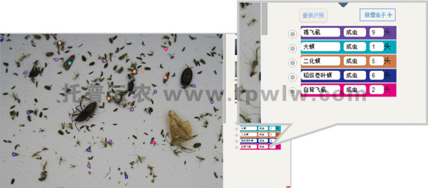 儀器識別統(tǒng)計界面 儀器識別統(tǒng)計界面