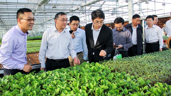 王主任一行參觀托普云農(nóng)設(shè)施農(nóng)業(yè)監(jiān)測與控制系統(tǒng) 王主任一行參觀托普云農(nóng)設(shè)施農(nóng)業(yè)監(jiān)測與控制系統(tǒng)