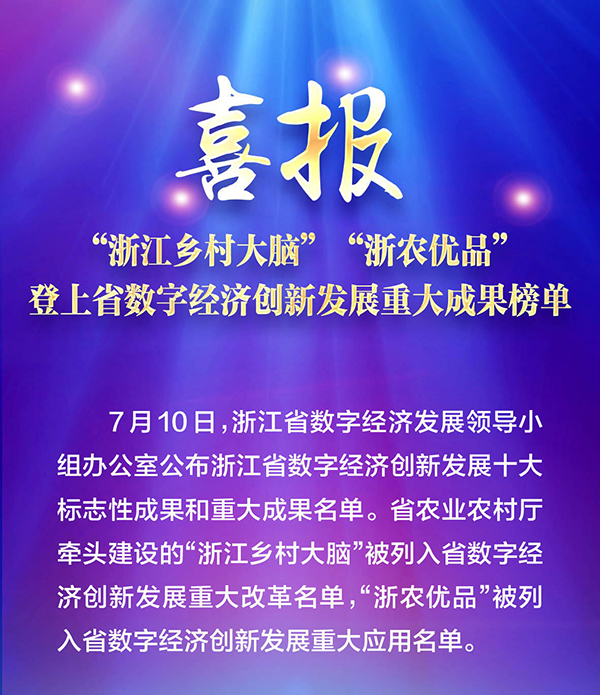 喜報(bào)！“浙江鄉(xiāng)村大腦”登上省數(shù)字經(jīng)濟(jì)創(chuàng)新發(fā)展重大成果榜單